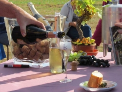 La Balade pétillante 2019